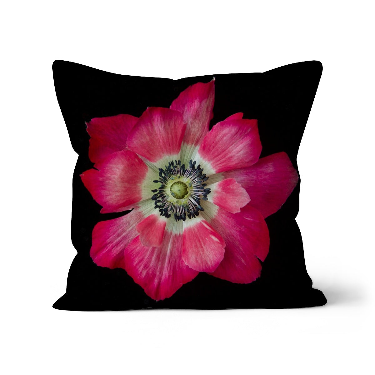 Anemone, Cushion