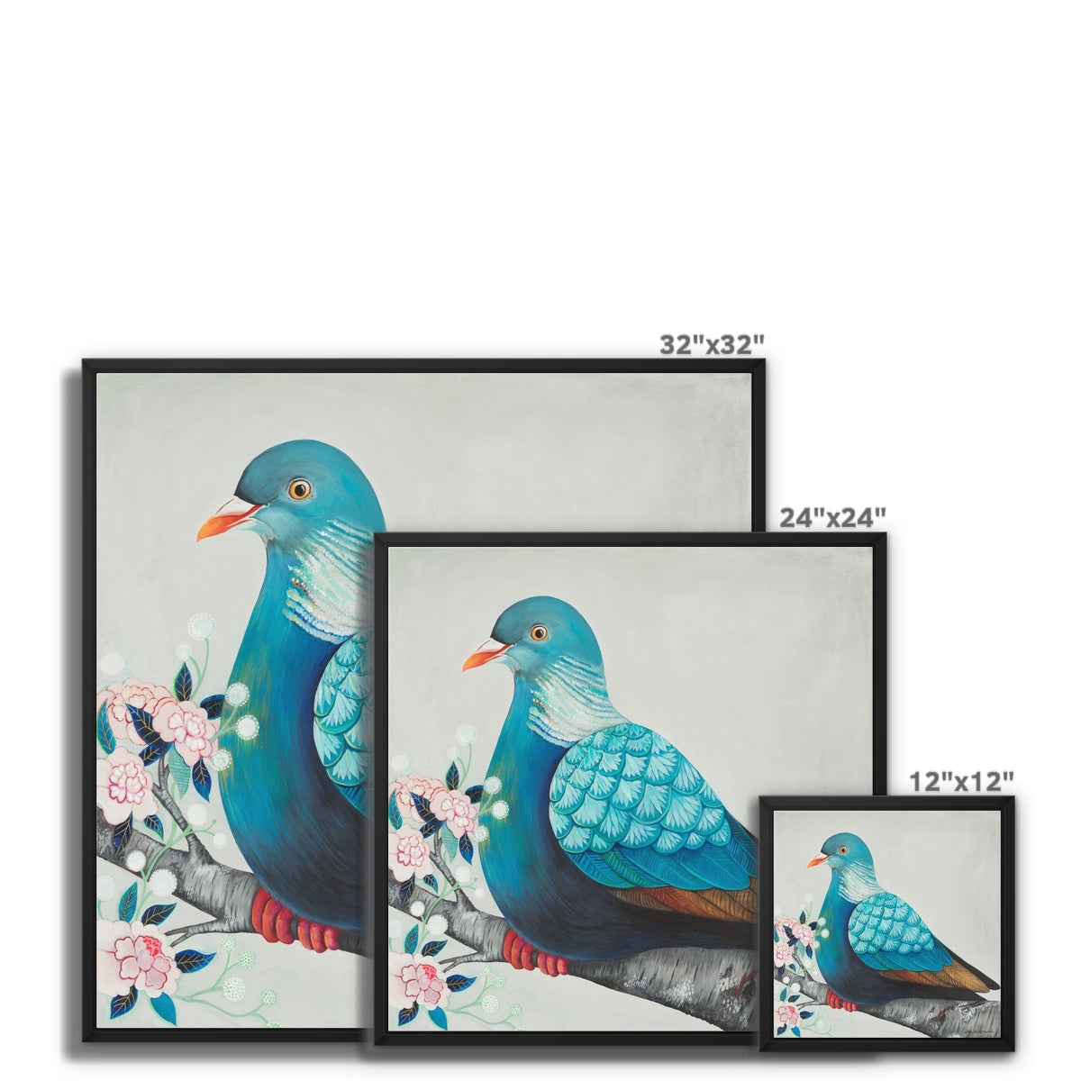 Wood Pigeon, Framed Canvas