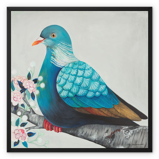 Wood Pigeon, Framed Canvas