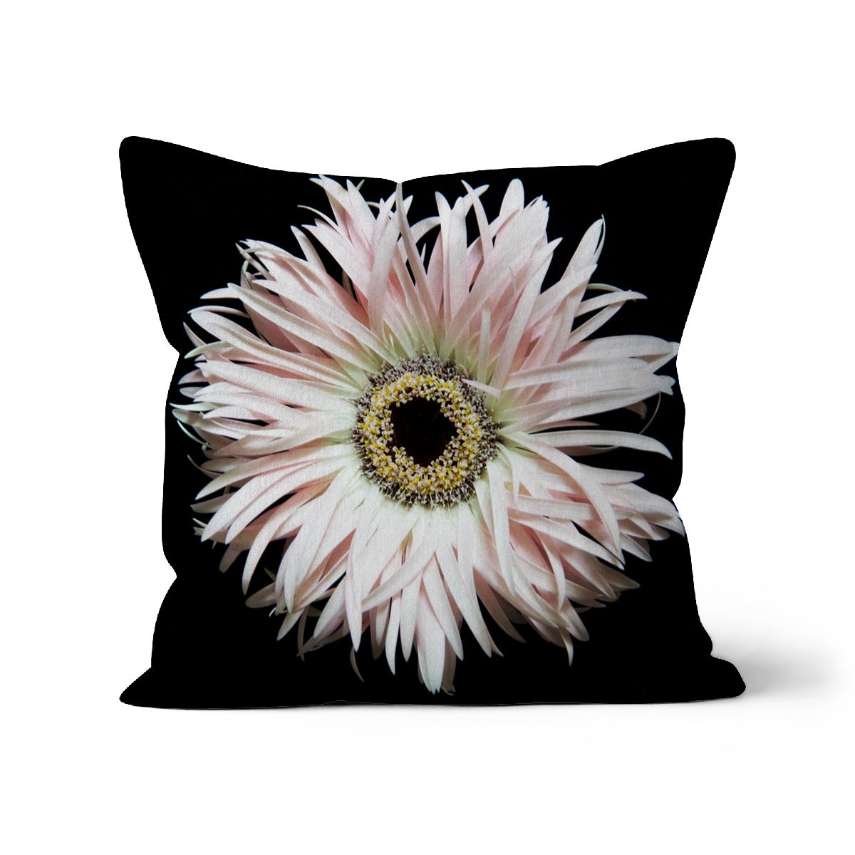 Gerbera, Cushion