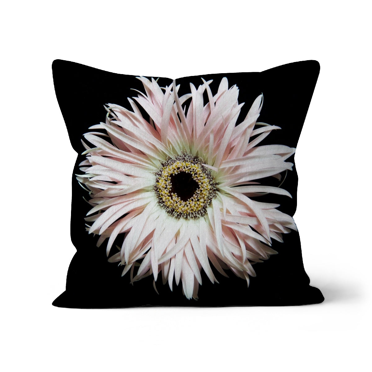 Gerbera, Cushion