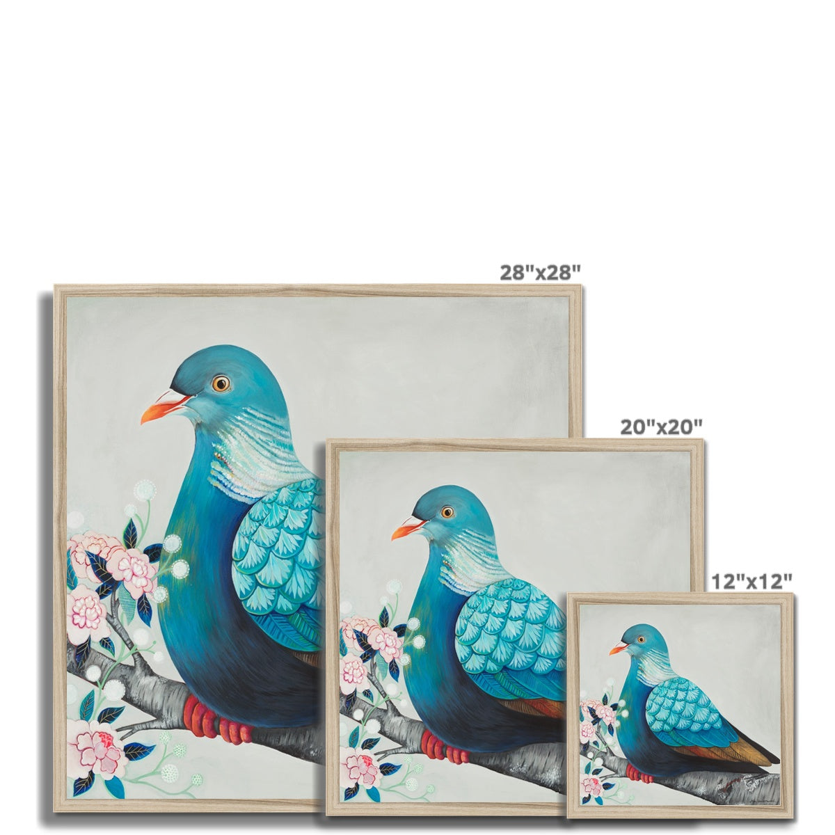 Wood Pigeon, Framed Art Print