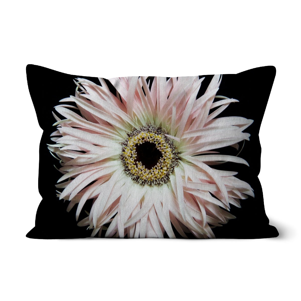 Gerbera, Cushion