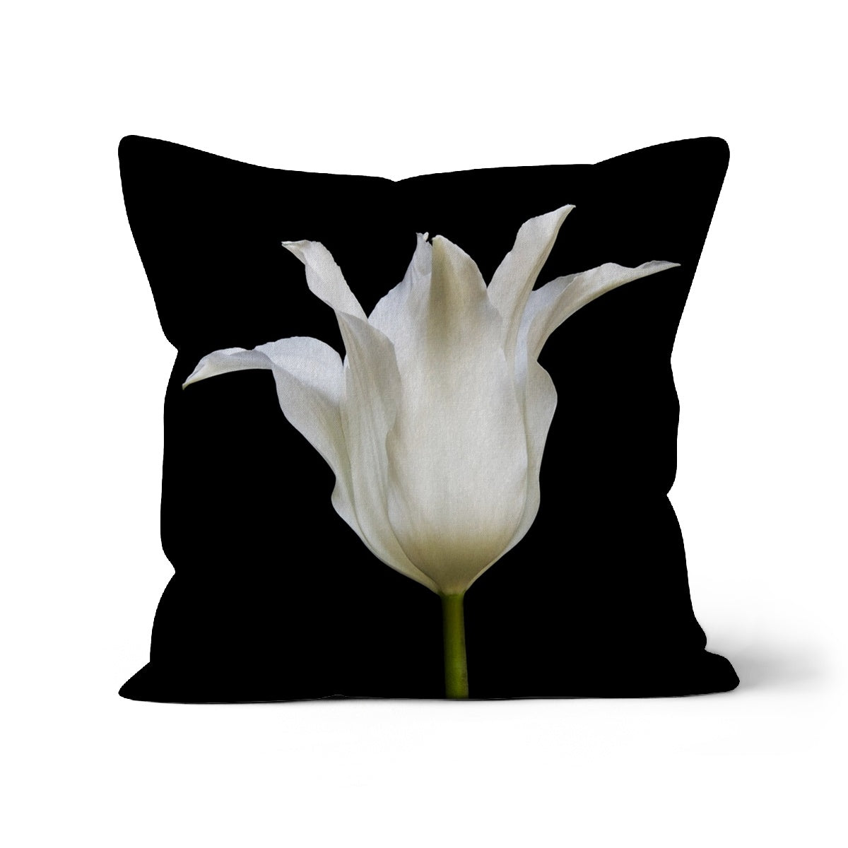 Pointed White Tulip, Cushion