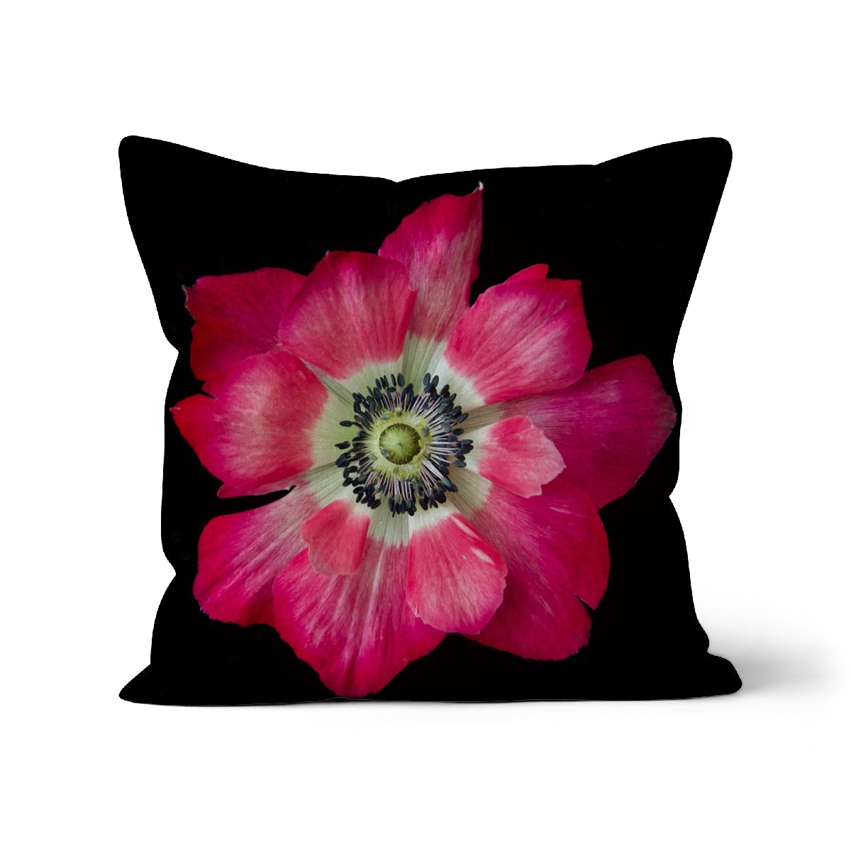 Anemone, Cushion