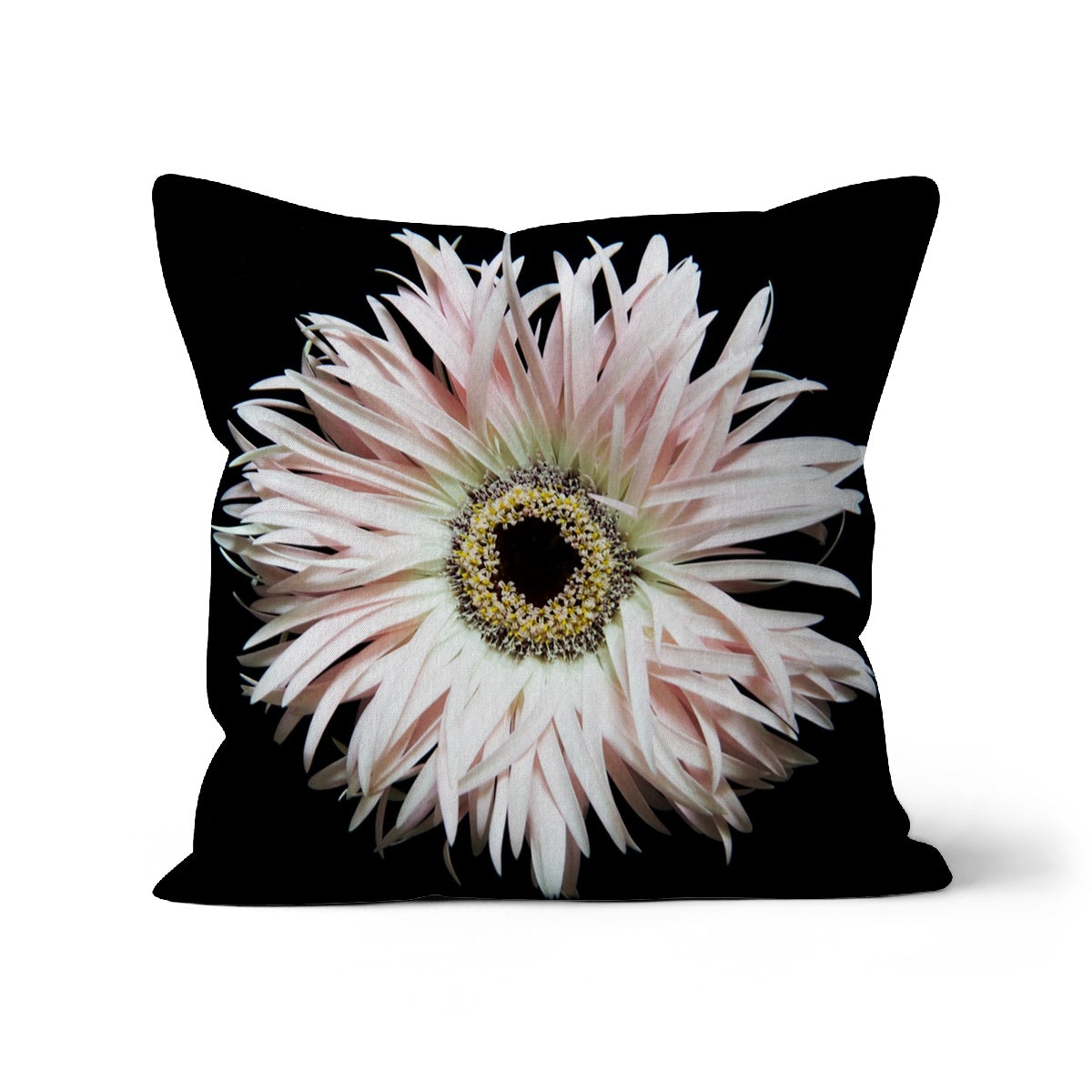 Gerbera, Cushion