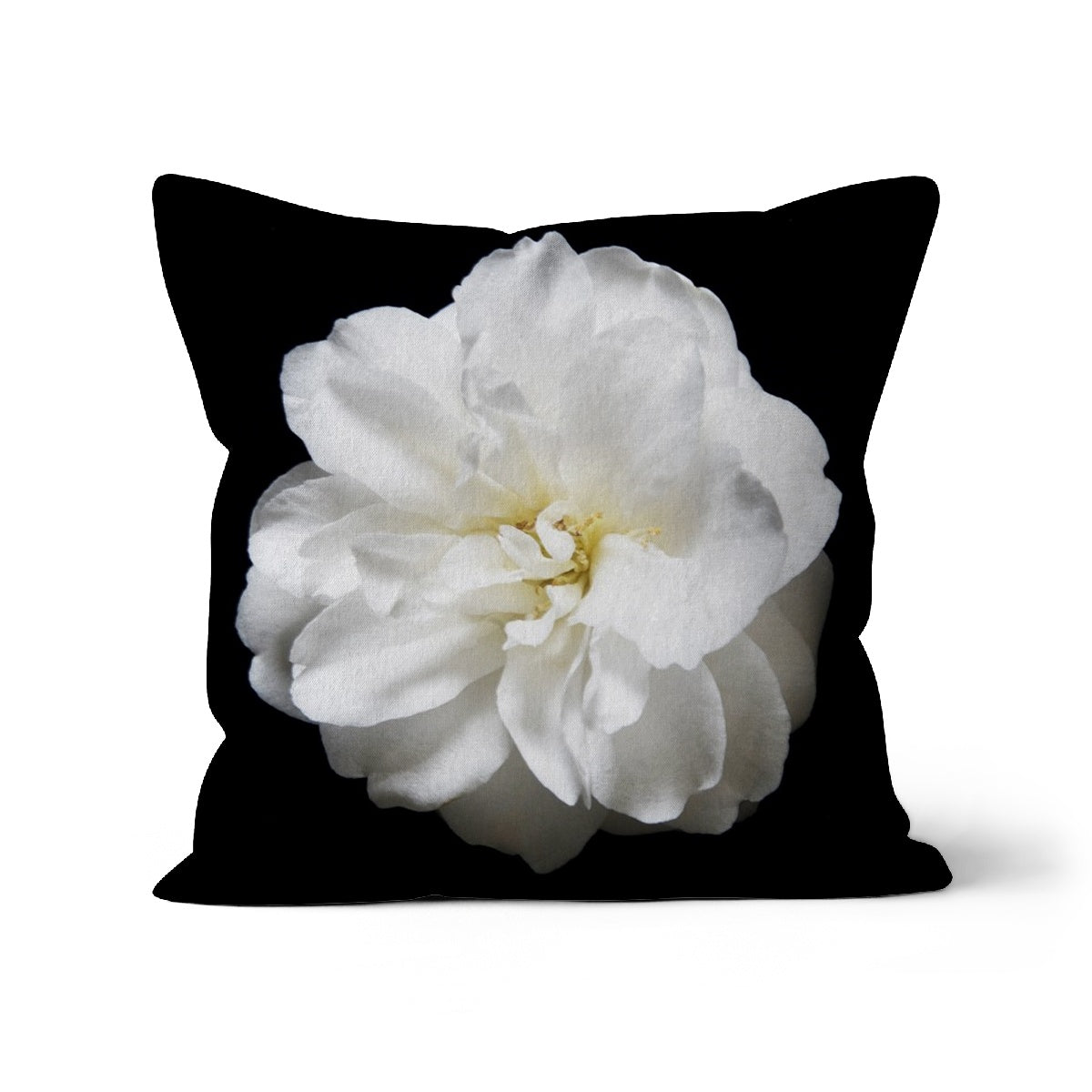 Camelia, Cushion