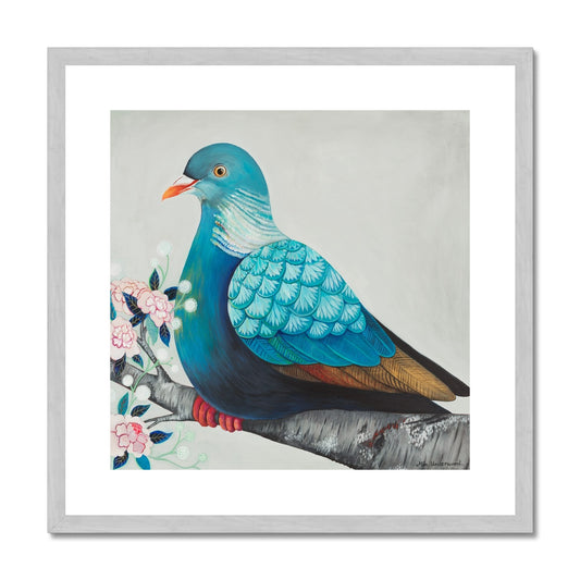 Wood Pigeon, Antique Framed & Mounted Art Print