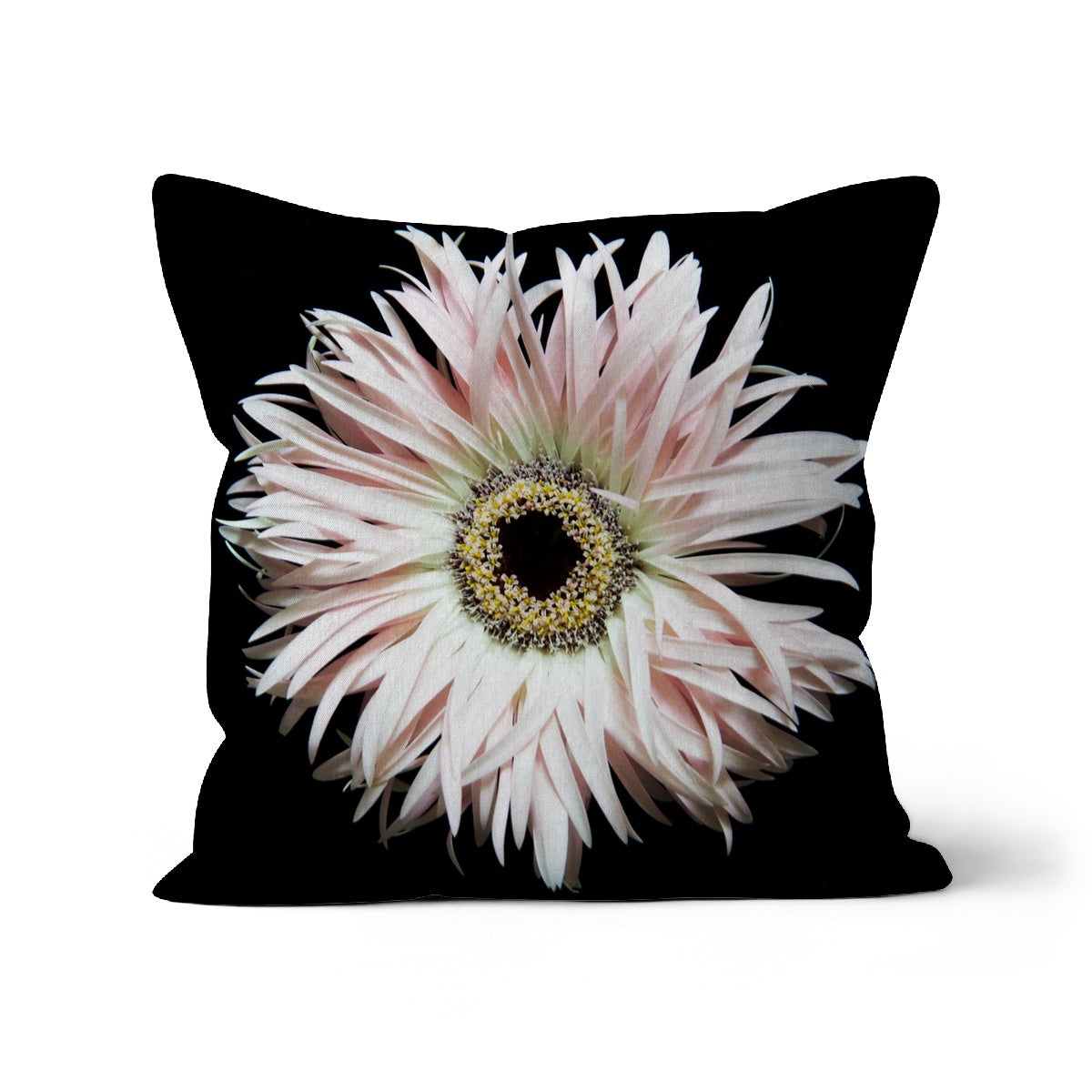 Gerbera, Cushion