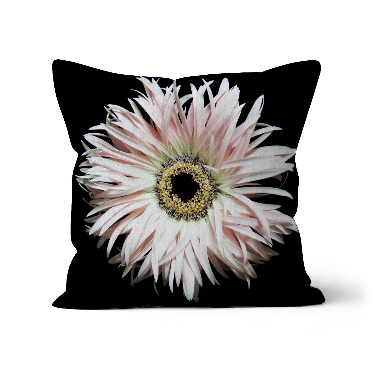 Gerbera, Cushion